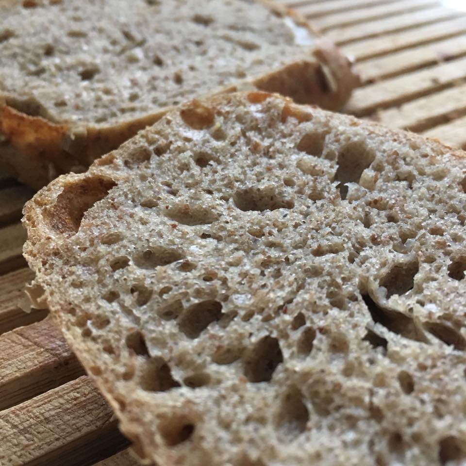 Lapper af Purpurhvede, Manitoba og Ølandhvede